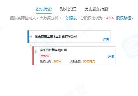 劉強(qiáng)東的再出發(fā) 退出云計(jì)算公司，押注無(wú)人機(jī)與室內(nèi)裝修新賽道